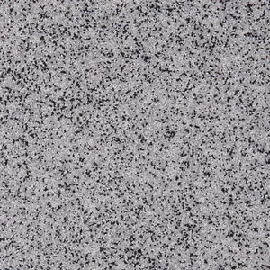 Dalmatian QB-1007